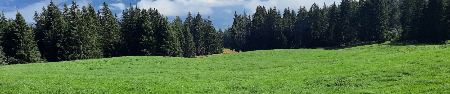 Tour Wandern Combloux - cuchet -sommet des Salles -cuchet - Photo