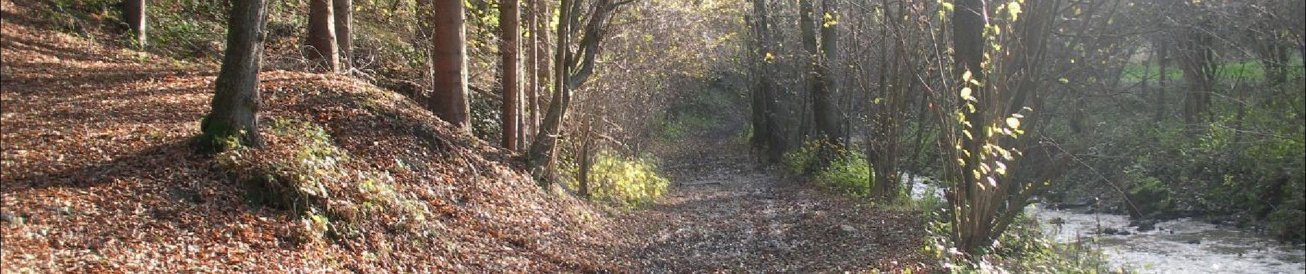 Randonnée A pied Dison - Dison: Promenade Renkin - Photo