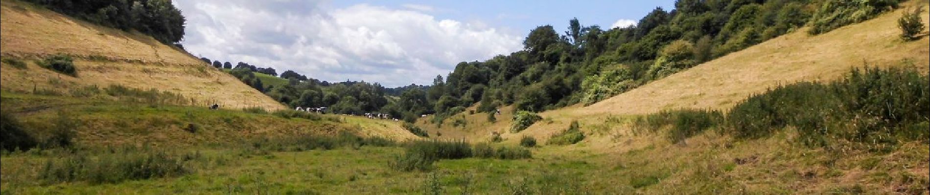 Tour Zu Fuß Dison - Dison: promenade Georges Zeyen - Photo