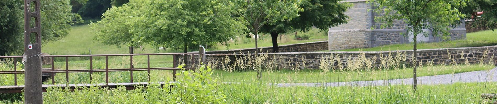 Tour Mountainbike Onhaye - Par le Fond Sucet et le bois des Bruyères - Photo