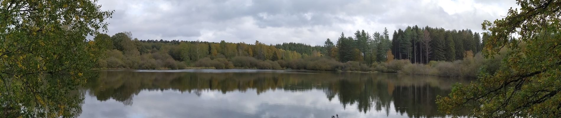 Randonnée A pied Gedinne - L'Ange Gardien - Photo