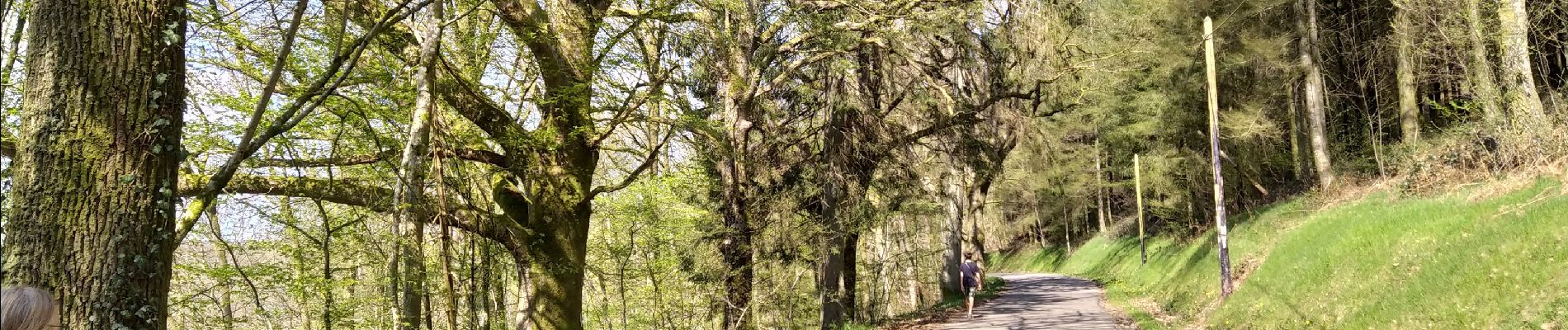 Percorso A piedi Vresse-sur-Semois - Le chemin du blanc - Photo