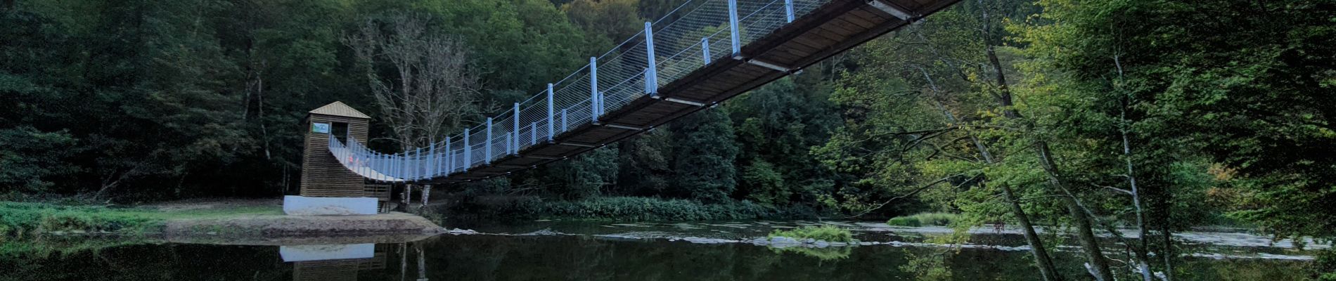 Tocht Te voet Bouillon - Passerelle de l'Epine - Photo