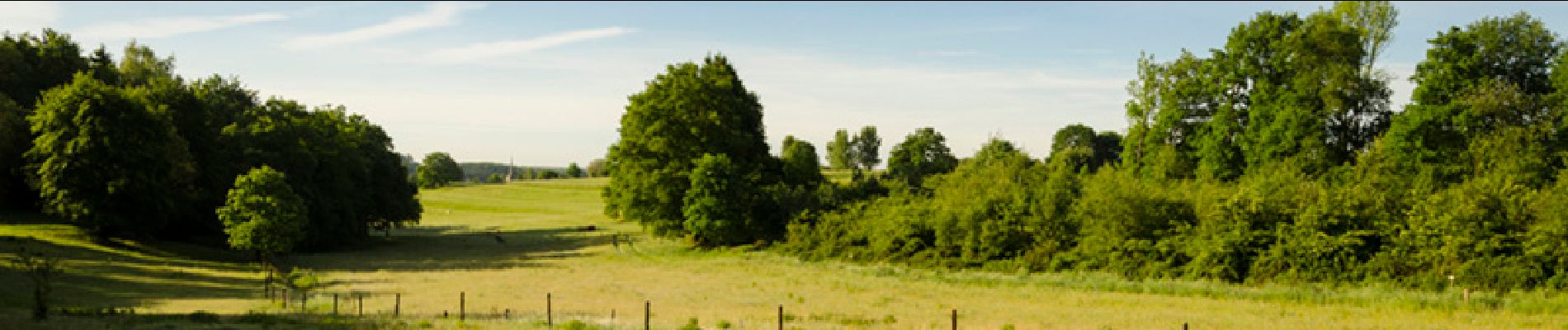 Tocht Te voet Saint-Léger - Promenade à Sint-Ldjir - Photo