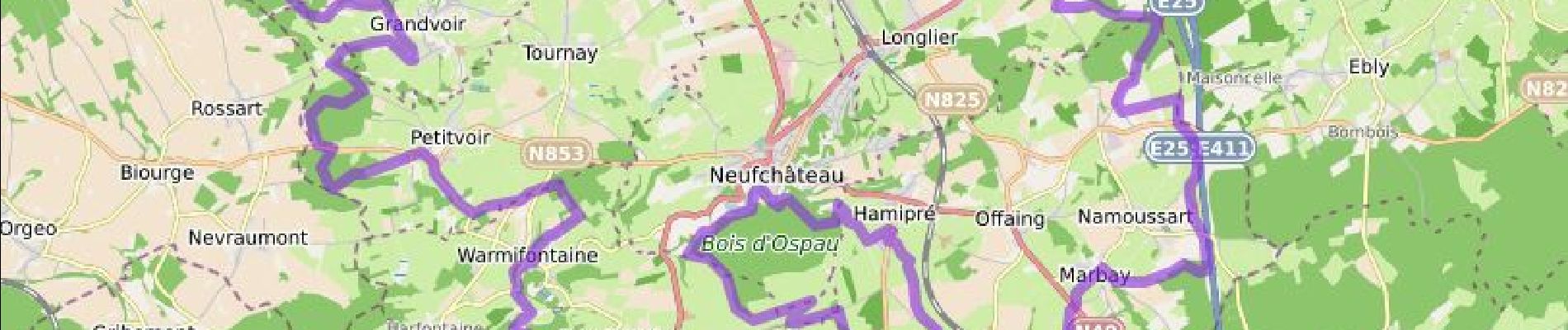 Trail Mountain bike Neufchâteau - La Grande Boucle Chestrolaise - Photo