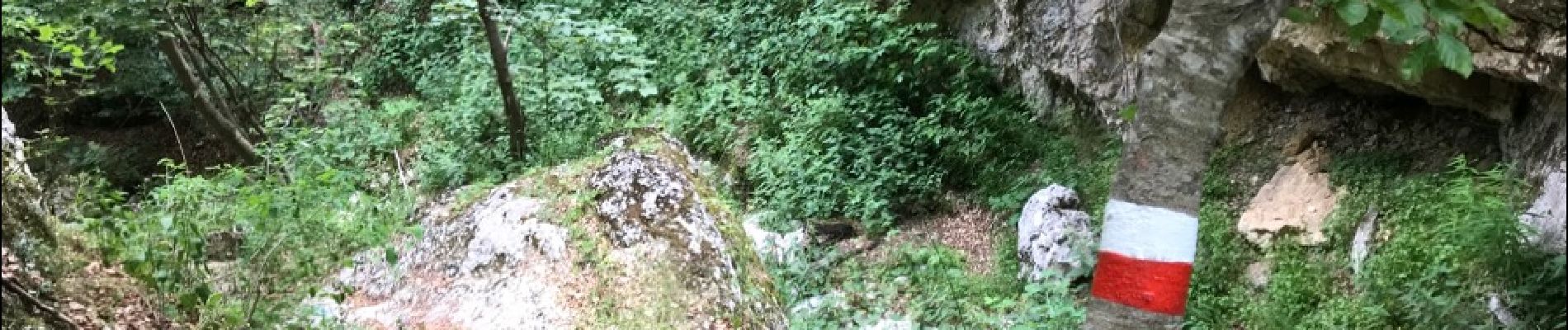 Excursión Senderismo Pescasseroli - monte valle caprara 15 km - Photo