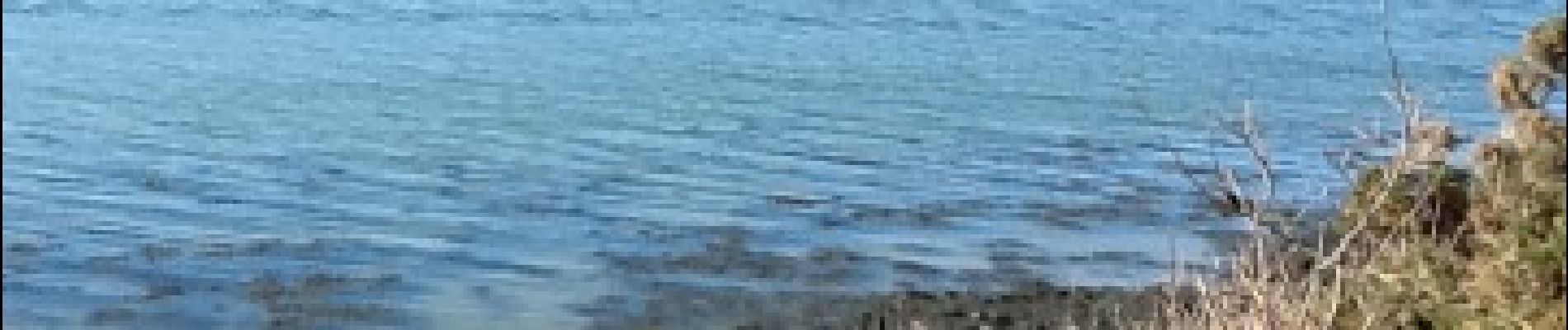 Punto di interesse Locoal-Mendon - Vue sur la mer - Photo
