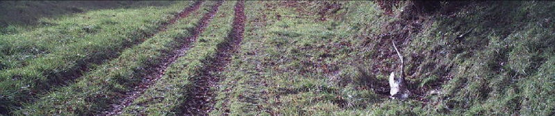 Percorso Corsa a piedi Bazus - Baba à Bazus - Photo