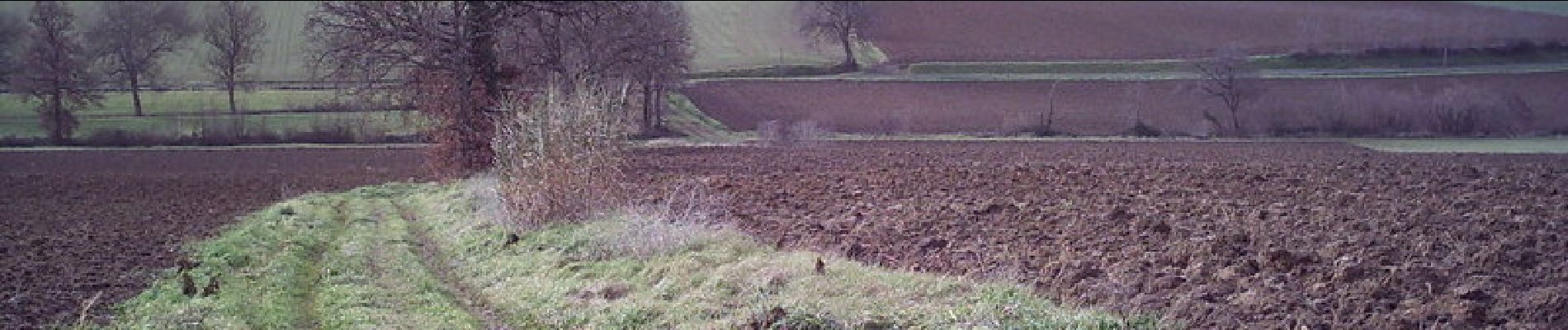 Tocht Lopen Paulhac - Pas de Bic-mac à Paulhac ! - Photo