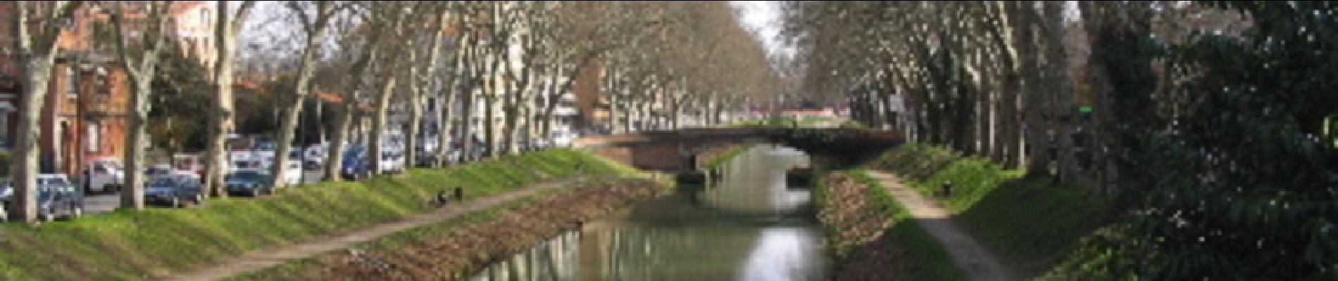 Tocht Stappen Toulouse - Des coteaux au Canal du Midi - Photo