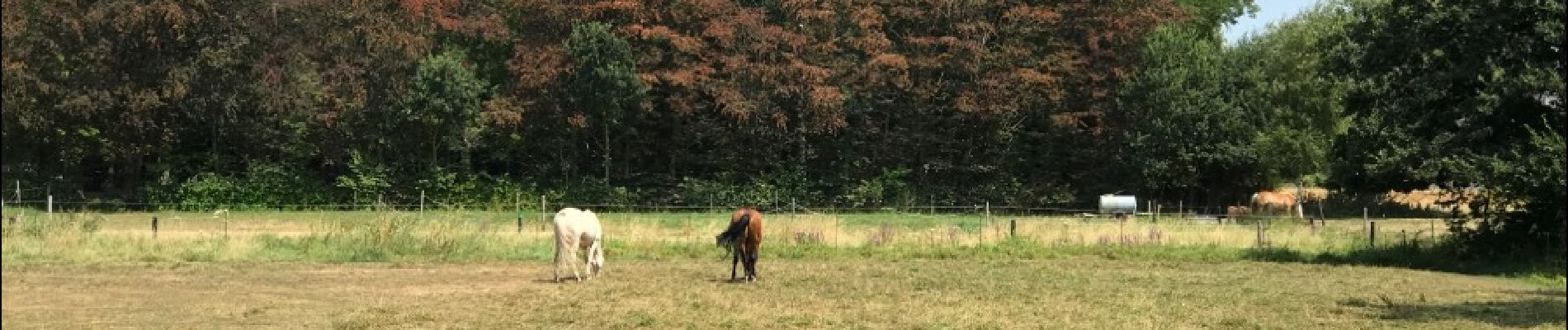 Tocht Stappen Berlare - donk bis 18,9 km - Photo