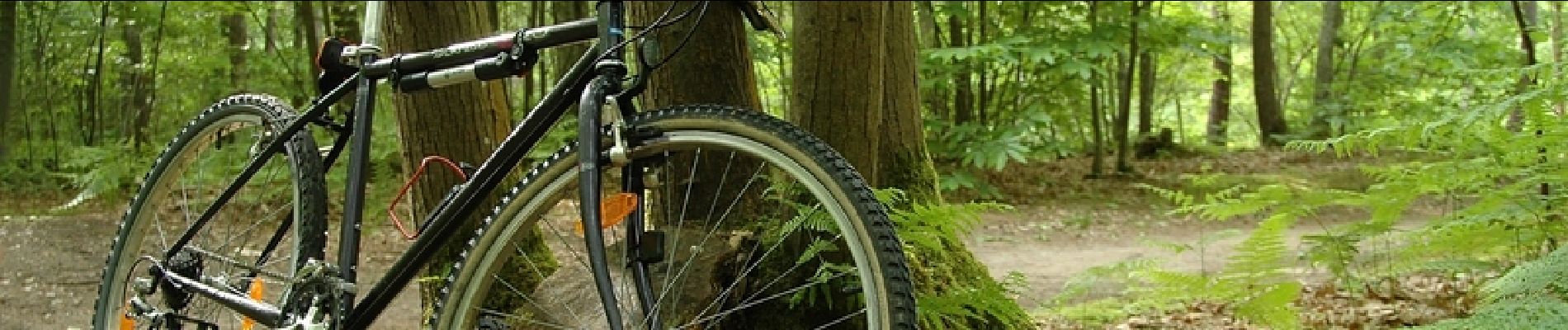 Tocht Mountainbike Saint-Germain-en-Laye - Randonnée en Forêt de Marly Le Roi - Photo