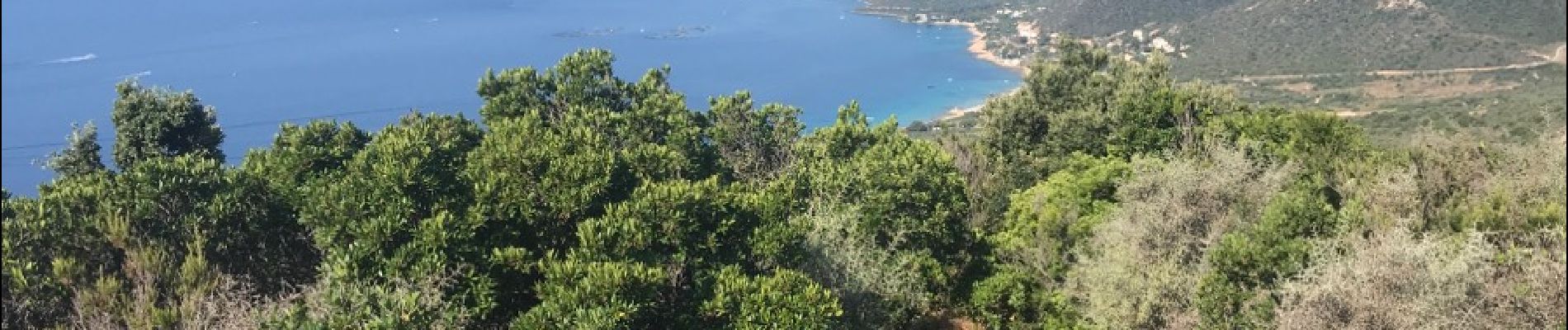 Tocht Andere activiteiten Ajaccio - sentier des crêtes Ajaccio 2018 - Photo