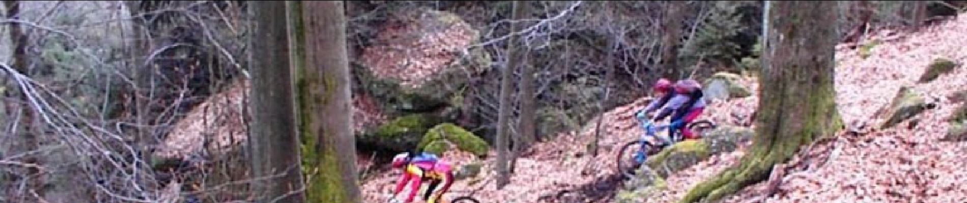 Trail Mountain bike Wasselonne - Die Wasselonne Strecke - Photo