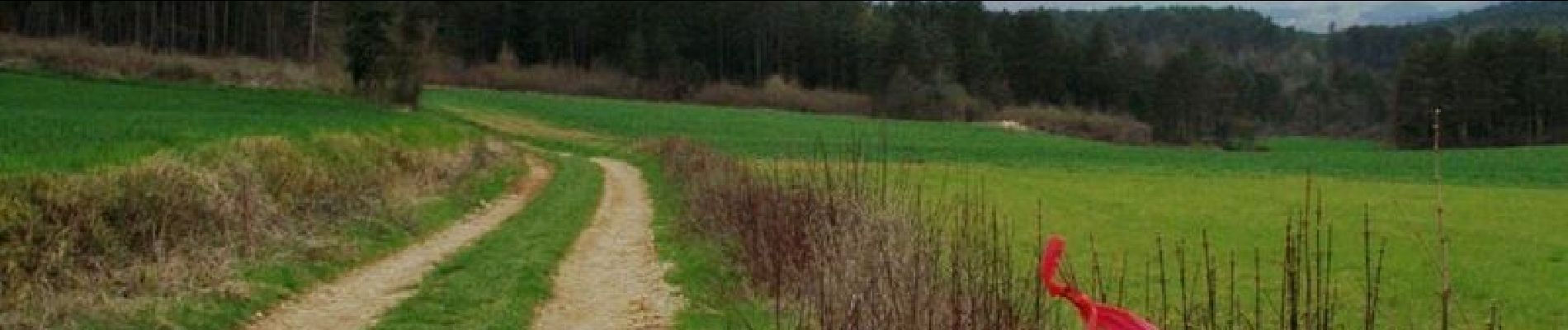 Tocht Mountainbike Saint-Père - XVIIème Ronde de Vézelay - Photo