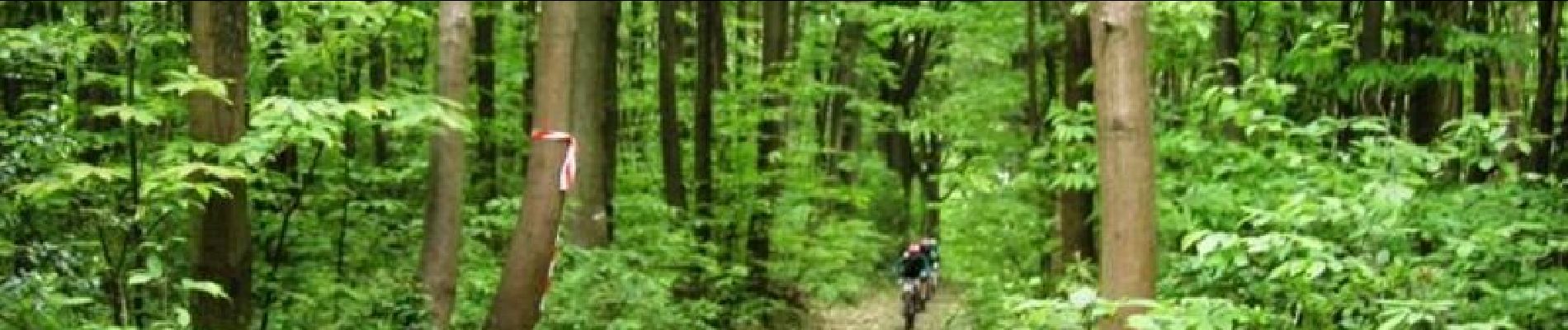 Trail Mountain bike Groslay - La Trans-montmorencéenne 2006 - Photo