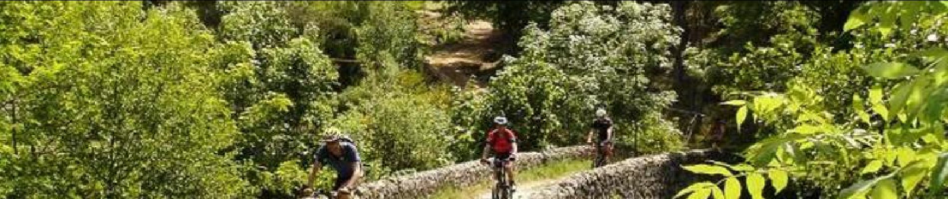 Tocht Mountainbike Toulaud -  Valence - Arcens - Photo