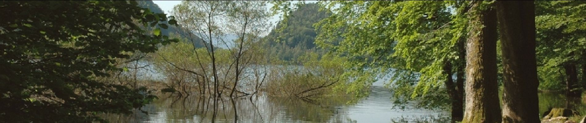 Tocht Stappen La Bresse - Le tour du Kastelberg par les lacs. - Photo