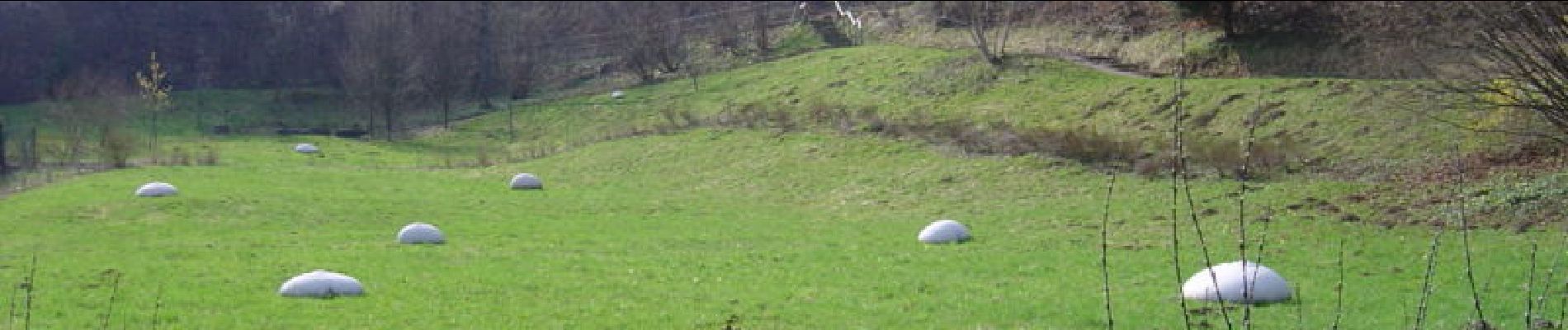 Tocht Mountainbike Osthouse - Les Berges de l'Ill - Photo