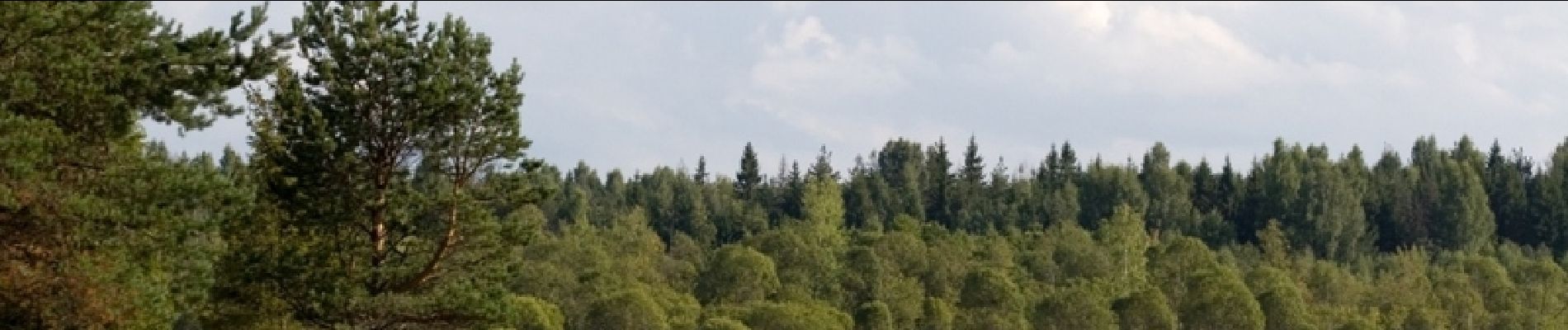 Excursión Bici de montaña Azay-sur-Cher - Azay sur Cher, Dierre, Lussault sur Loire, Cangé - Photo