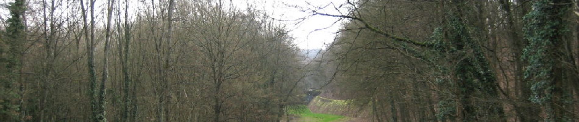 Randonnée V.T.T. Buding - Découverte des bildstocks de Veckring, de Helling et de Budling - Photo