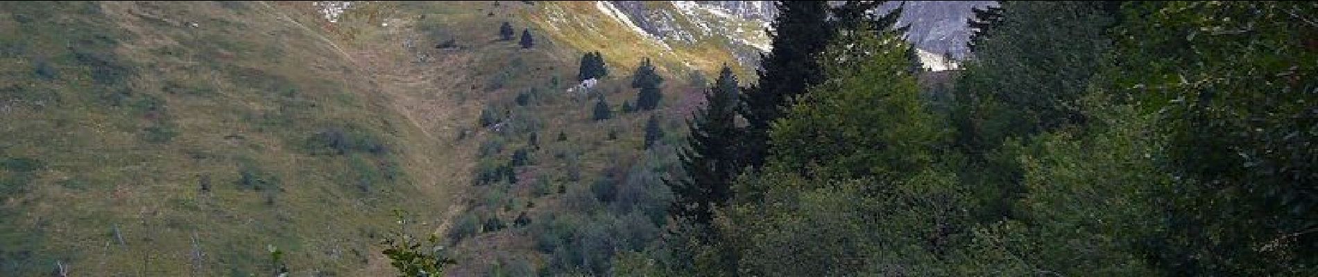 Tour Wandern Villard-de-Lans - Plateau du Cornafion, variante recommandée - Photo