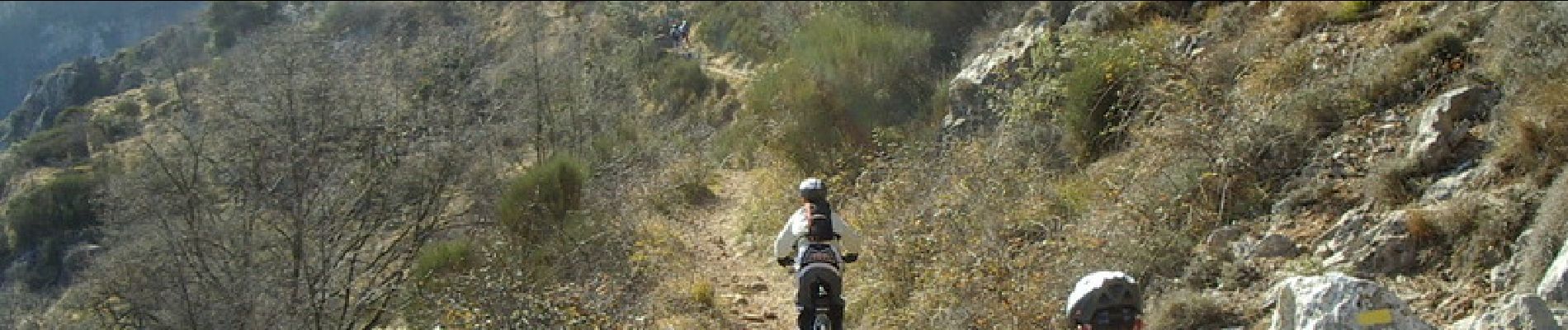 Trail Mountain bike Peille - Espace VTT FFC Sospel - N° 14 : Piste des Champions - Descente de Peille - Photo