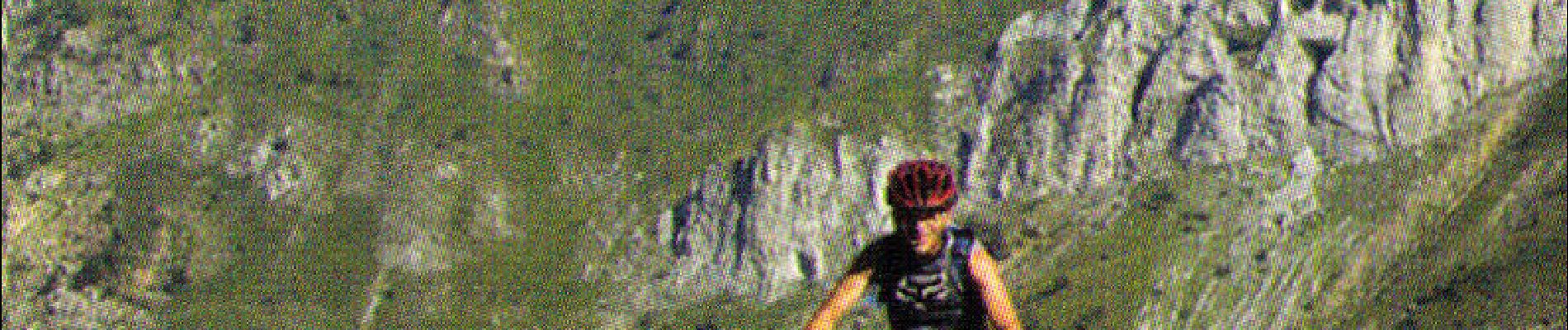 Tocht Mountainbike Tende - Espace VTT FFC Haute Roya - N° 1 - Chemin des Bois - Photo