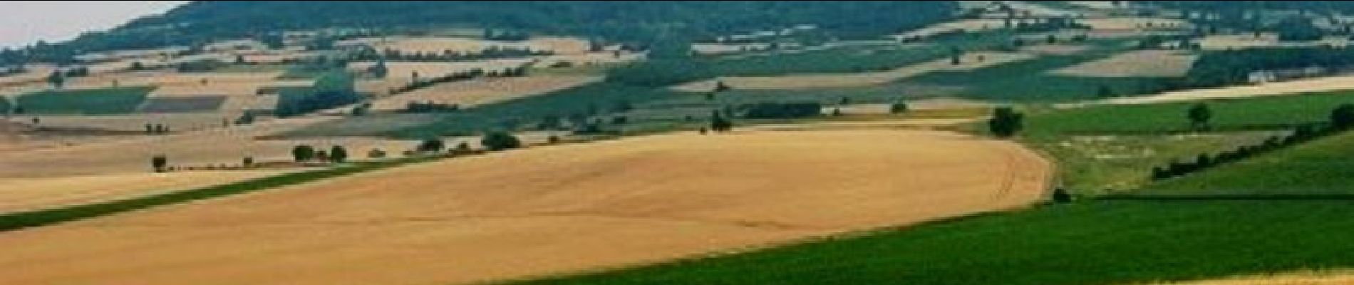 Randonnée Marche Saint-Sandoux - Le Puy de Saint Sandoux  - Photo