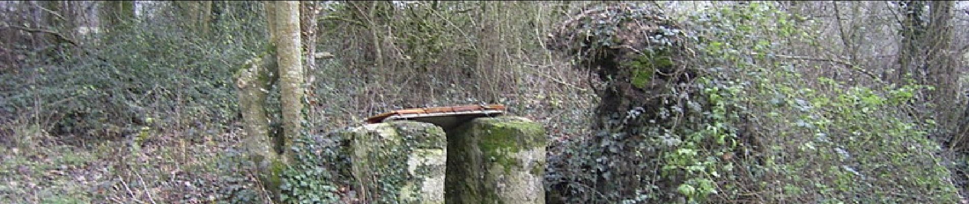 Randonnée Marche Amailloux - Amailloux Sud - Photo