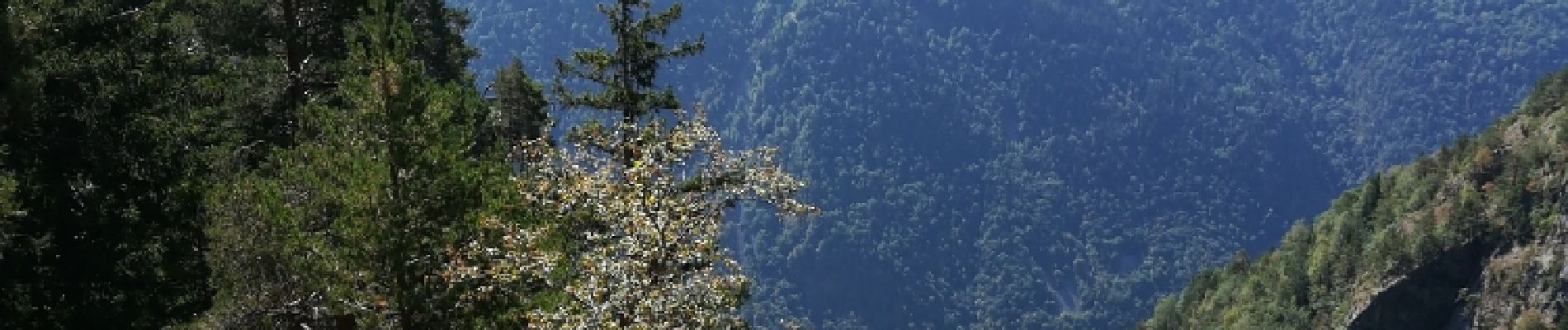 Randonnée Marche Chamrousse - tourbiere - Photo