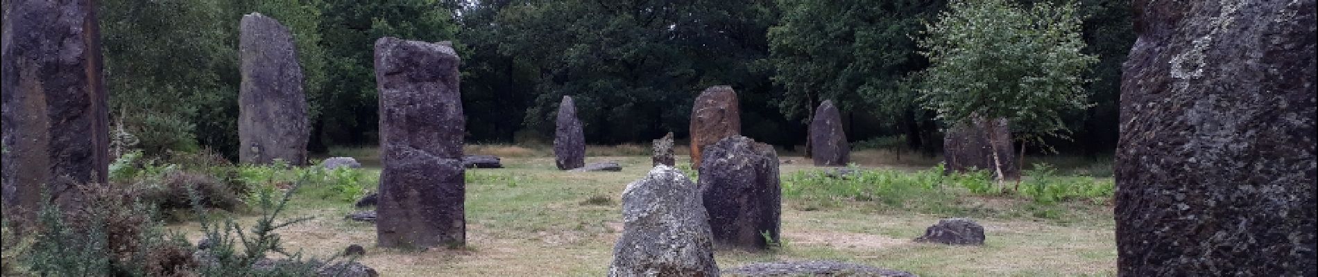 Tour Wandern Monteneuf - Le sentiers de megalithes - 14 km - Photo