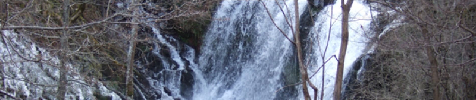 Excursión Senderismo Albepierre-Bredons - Les cascades - Prélong - Vergnes - Prapsou - Photo