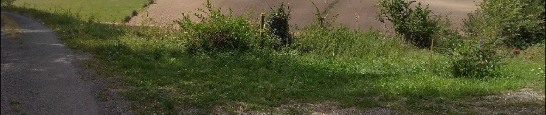 Punto de interés Manzac-sur-Vern - Point 2, à droite après la maison  - Photo