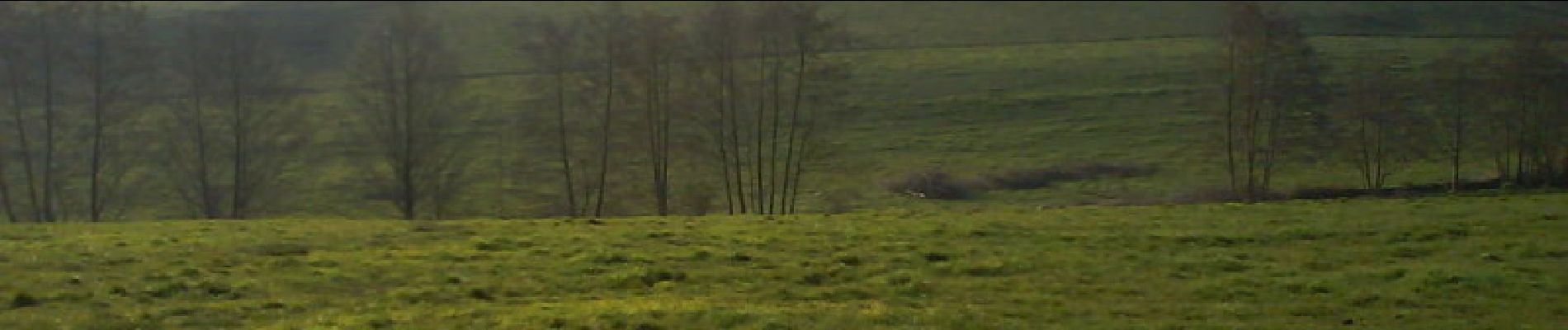 Tour Mountainbike Montaigu-Vendée - La Cheffretière - Photo