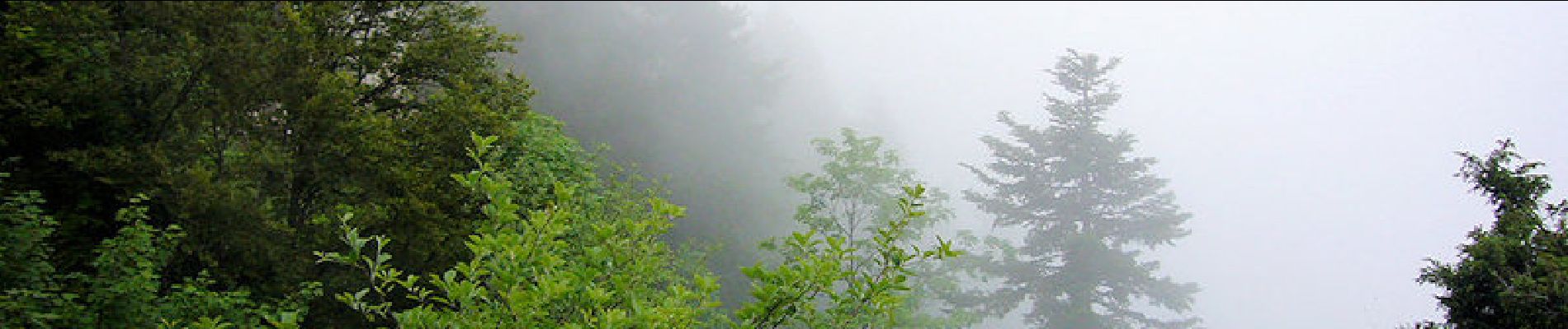 Trail Walking Saint-Jean-de-Couz - La Cochette par l'arête Ouest - Photo