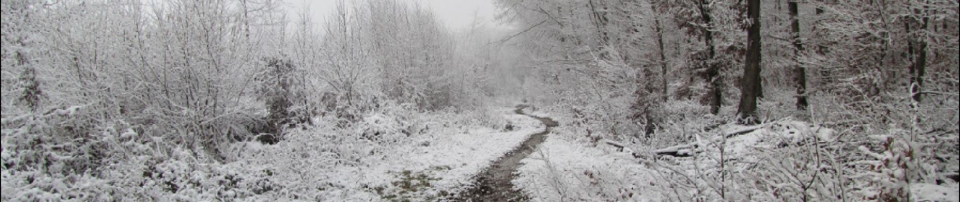 Trail Walking Longpont - en forêt de Retz_67_ballade (1) en toute saison - Photo