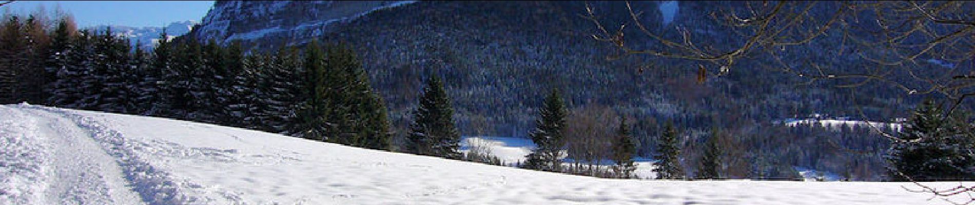 Tocht Sneeuwschoenen Apremont - Le Mont Joigny 1553m, en raquettes - Photo