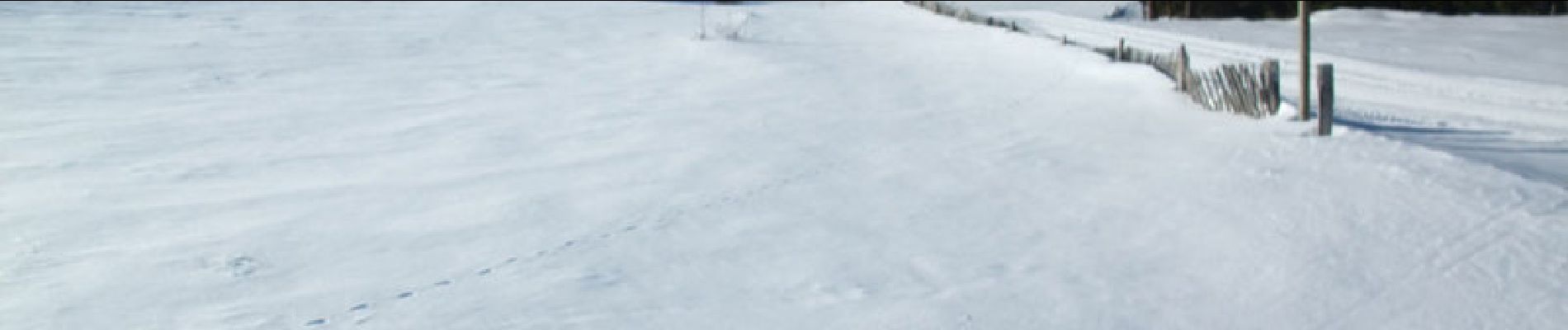 Tour Schneeschuhwandern Albepierre-Bredons - Raquettes à Prat de Bouc - Photo