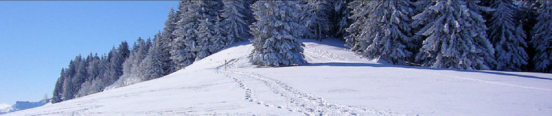 Randonnée Raquettes à neige Lans-en-Vercors - La Molière, traversée de Charande - Photo