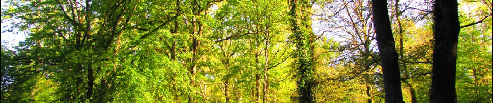 Tocht Stappen Longpont - en forêt de Retz_69_ballade (3) en toute saison - Photo