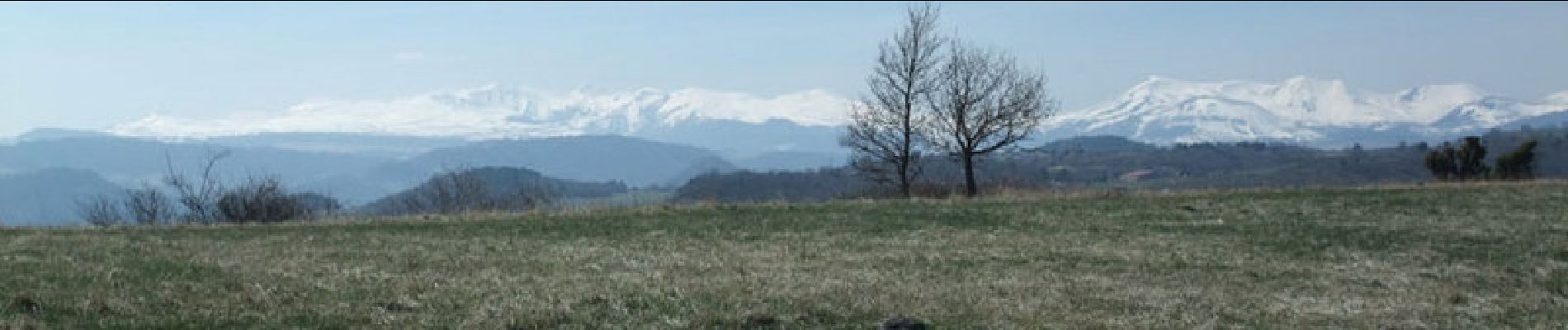 Randonnée Marche Montaigut-le-Blanc - Le tour de la Pinière - Photo