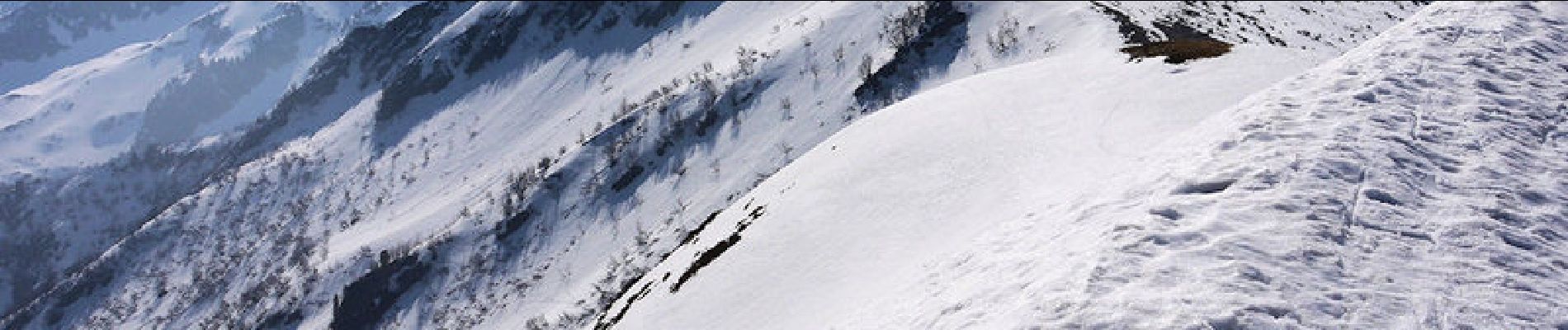 Trail Snowshoes Arvillard - Les crêtes de la Montagne d'Arvillard en raquettes - Photo