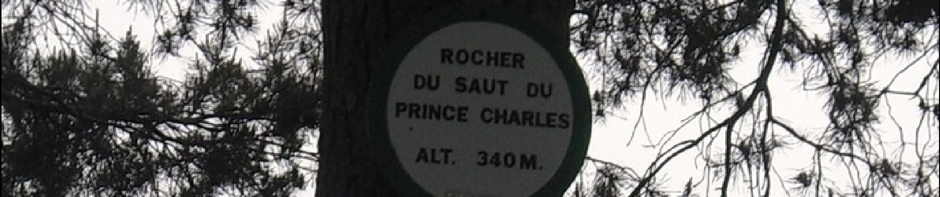 Tocht Stappen Saverne - Circulaire du Saut du Prince Charles - Photo