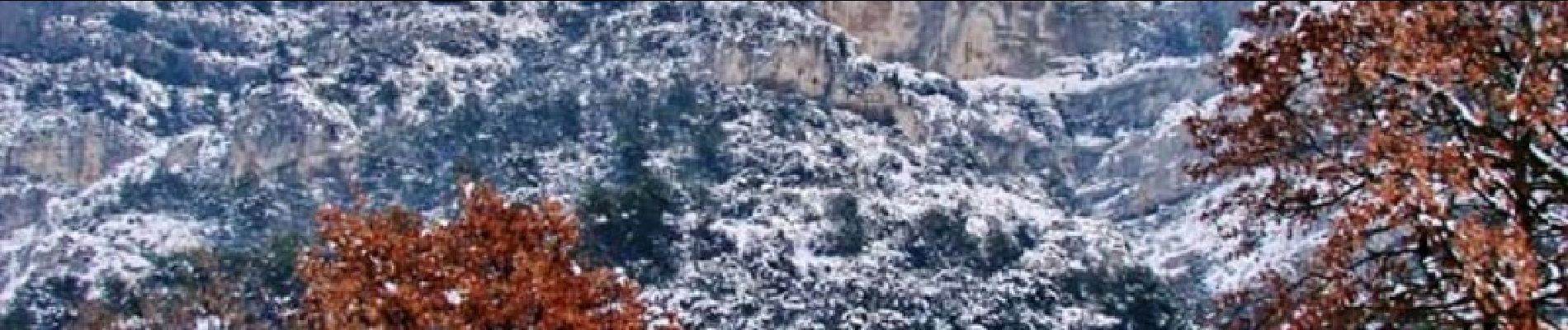 Tocht Stappen Taillades - Les Taillades-De la source du Boulon au Castelas - Gorge de Badarel sous la neige - Photo