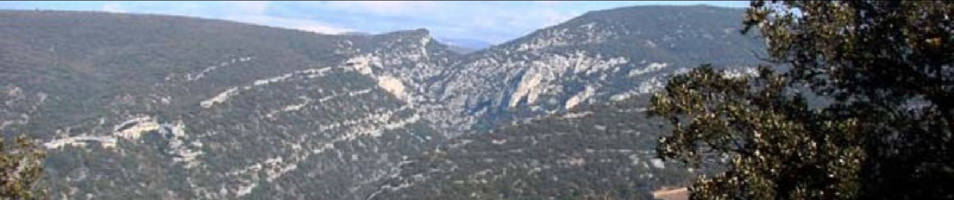 Tour Wandern Saint-Saturnin-lès-Apt - St Saturnin les Apt - La Mère Dieu - Les ravins de Philipon et des Gendarmes - Planeyssard - Photo