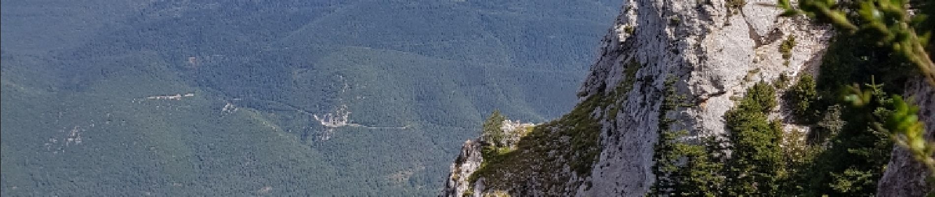 Excursión Senderismo Salvezines - La forêt d  en Malo depuis le Caunil (11) - Photo