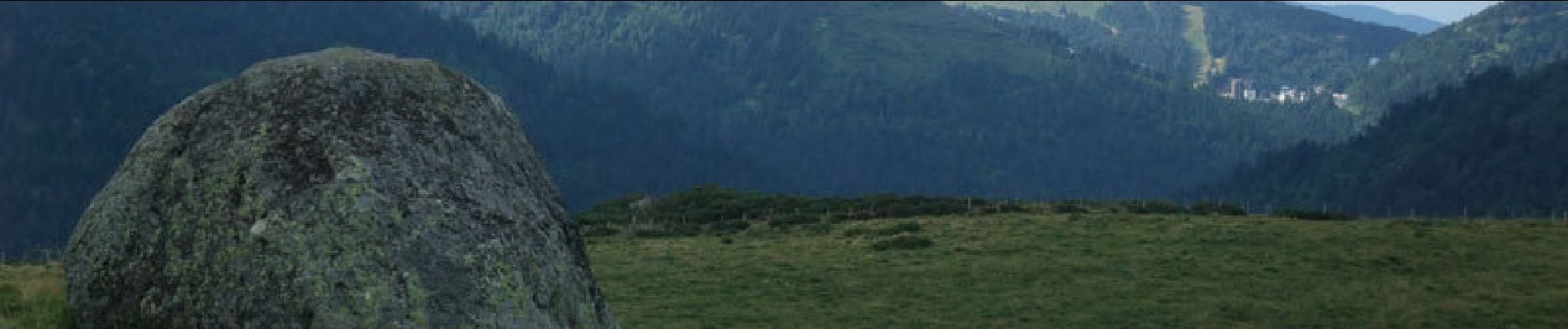 Tocht Stappen Laveissière - Le Puy de Seycheuse - Photo