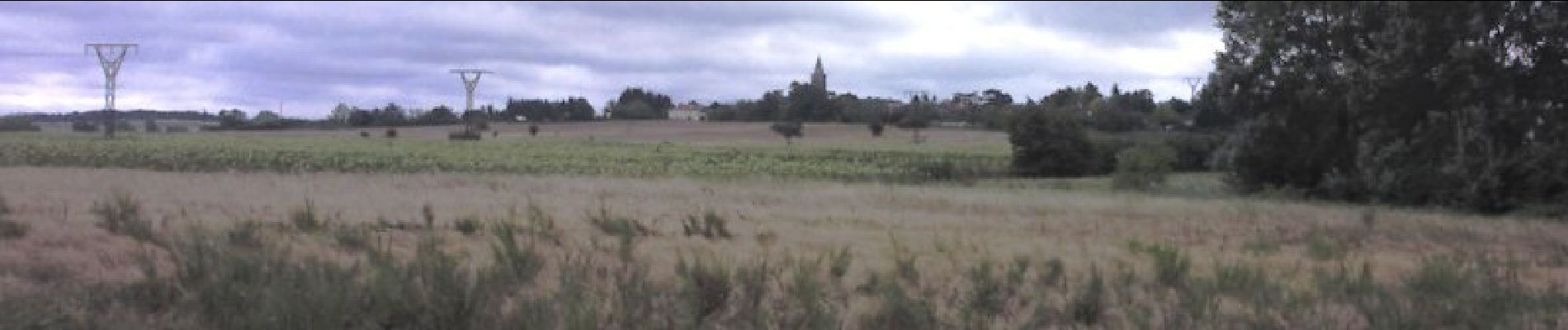 Randonnée Marche Roquesérière - Autour de Roquesérières par le ruisseau de la Mouline d'Azas - Photo