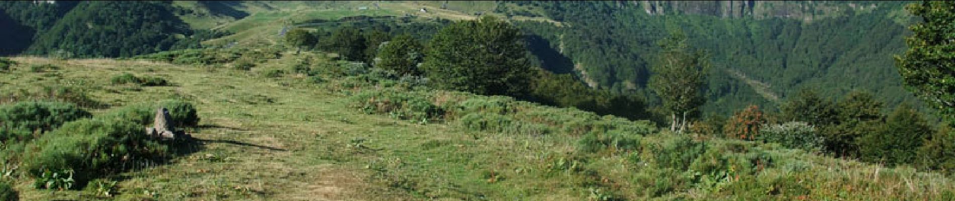 Tour Wandern Le Claux - Les fours de Peyre-Arse - Photo